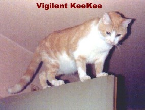 KeeKee On Watch