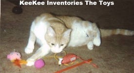 KeeKee and the Toys